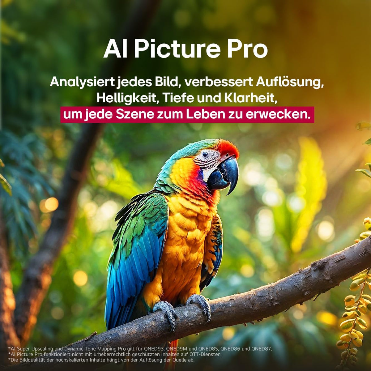 LG 55QNED86A6A TV 55 Zoll (139 cm) 4K QNED evo AI TV (α8 Gen2 4K AI Prozessor, webOS 25, 120Hz) [Modelljahr 2025]