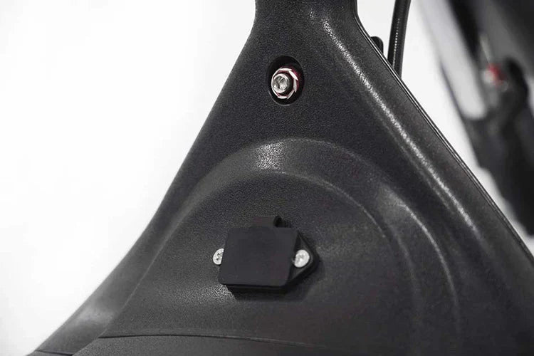 Elektro-Chopper Mangosteen M1 in Mattschwarz – 2000W Hochleistungsmotor und Stilvoll