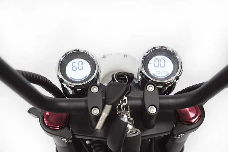 Elektro-Chopper Mangosteen M1 in Mattschwarz – 2000W Hochleistungsmotor und Stilvoll