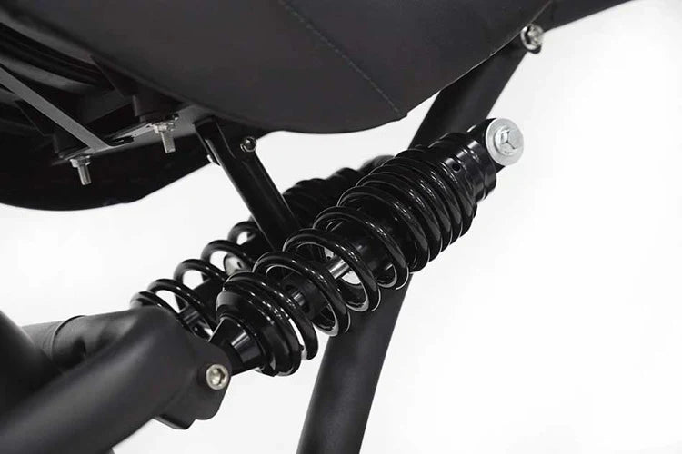 Elektro-Chopper Mangosteen M1 in Mattschwarz – 2000W Hochleistungsmotor und Stilvoll