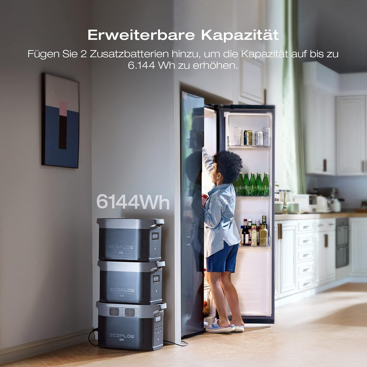 EcoFlow DELTA 2 Max tragbare Powerstation 2048Wh, erweiterbar 2-6 kWh, LFP-Batterie mit 3000 Zyklen, 80% Ladung 1 Std, 3000W Max Ausgangsleistung, Solargenerator für Zuhause, Camping, Wohnmobil