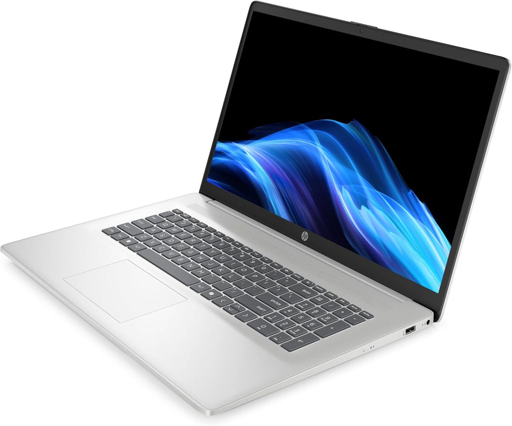 Laptop mit 17,3" FHD Display, Core i7-1355U, 16 GB DDR4 RAM, 1 TB SSD, Iris Grafik, Windows 11, QWERTZ, Silber inkl. 25 GB Dropbox-Speicher für 12 Monate