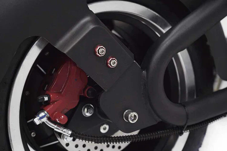 Elektro-Chopper Mangosteen M1 in Mattschwarz – 2000W Hochleistungsmotor und Stilvoll